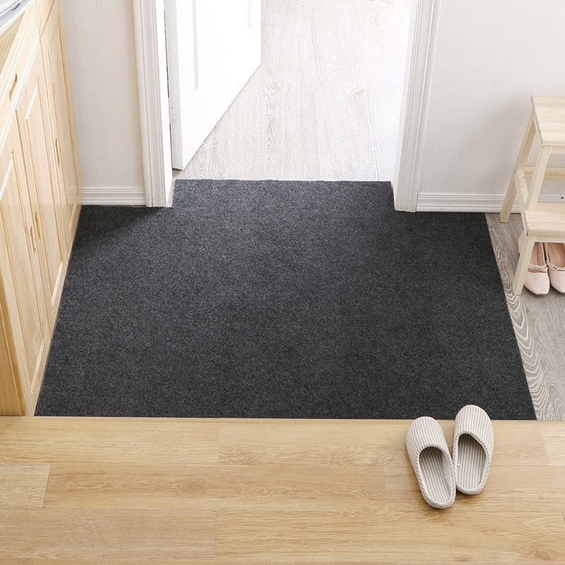 Non-slip Entrance Door Mat